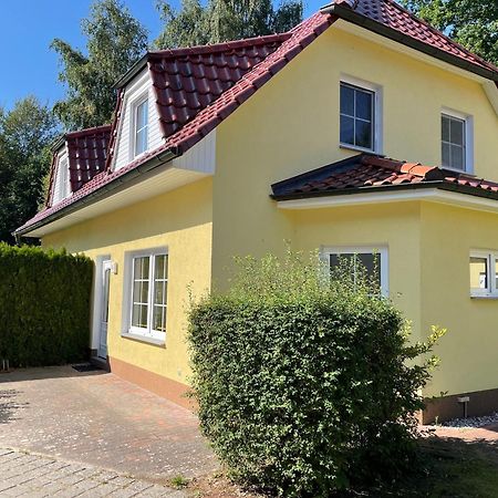 Ferienhaus Strandoase 青斯特 外观 照片